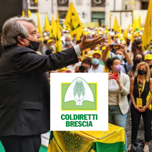 progetto-senza-titolo-27