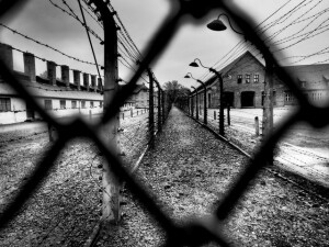 giornata-della-memoria