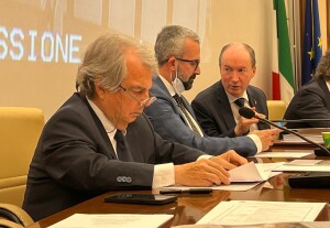 audizione-senato