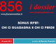 BONUS IRPEF: CHI CI GUADAGNA E CHI CI PERDE