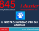 IL NOSTRO IMPEGNO PER GLI ANIMALI